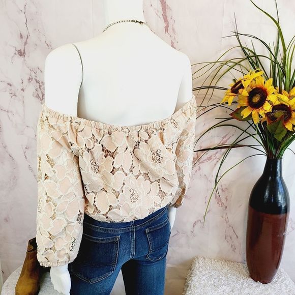 Anthropologie Tularosa lace crop top - Picture 7 of 9